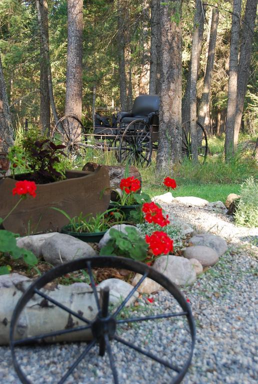 Kicking Horse Canyon Guest House Golden Zewnętrze zdjęcie