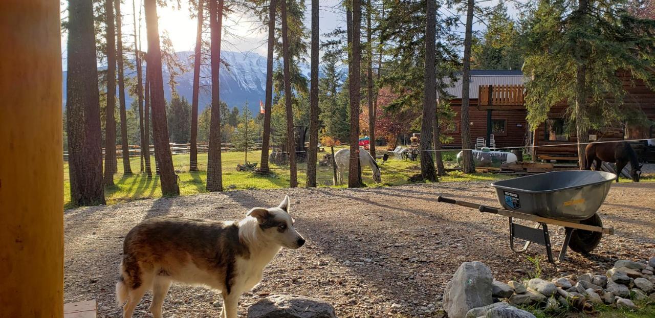 Kicking Horse Canyon Guest House Golden Zewnętrze zdjęcie